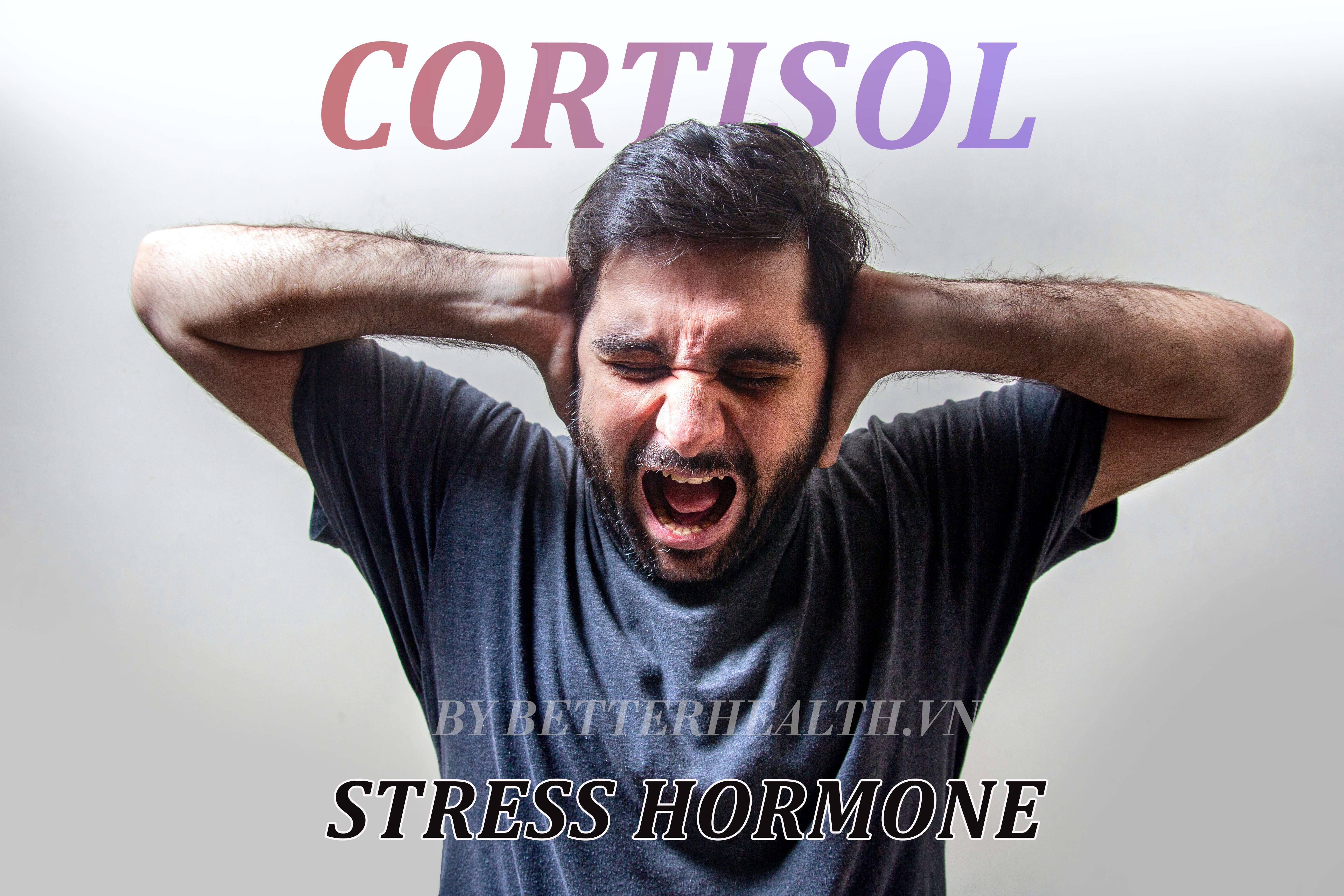 Cortisol là gì? Và làm thế nào để điều chỉnh mức cortisol trong cơ thể cân bằng hơn?